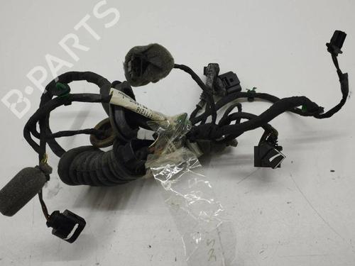 Used Wiring harness BENTLEY CONTINENTAL FLYING SPUR (3W_) 6.0 (560 hp) 28898564
