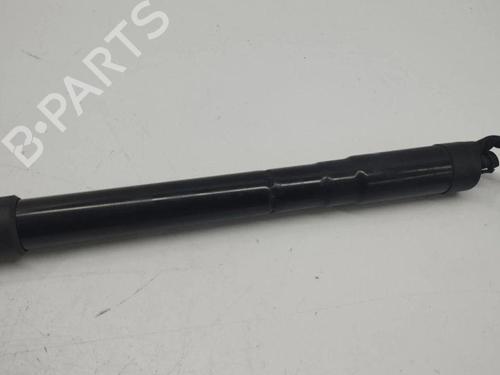 Tailgate lift support LAND ROVER RANGE ROVER EVOQUE (L538) 2.2 D 4x4 | BP28898701C138 
