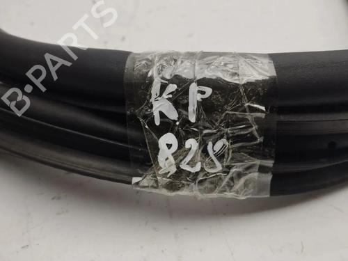 Gummiliste VW GOLF VIII (CD1, DA1) 1.5 TSI | BP33903035C142 - Image 3