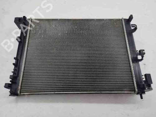 Used Water radiator NISSAN JUKE (F16_) 1.0 (114 hp) 28854291