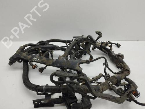 Kabelboom HONDA ACCORD VIII (CU) 2.2 i-DTEC (CU3) (150 hp) 28903210