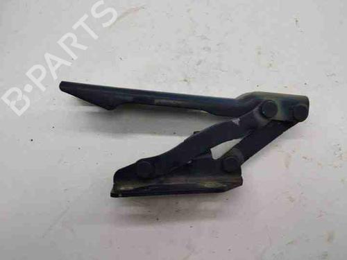 Hinge/Door check strap BMW 5 Touring (E61) 520 d | BP28851969C146 