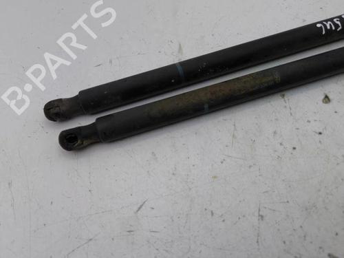 Tailgate lift support FORD GRAND C-MAX (DXA/CB7, DXA/CEU) 2.0 TDCi | BP28894418C138 