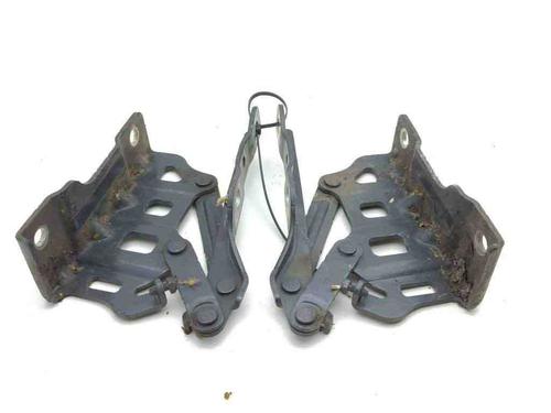 Hinge/Door check strap KIA SPORTAGE V (NQ5) 1.6 T-GDI | BP28884181C146