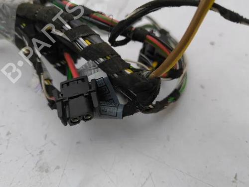 Wiring harness BMW X5 (E53) 3.0 d | BP28845099E16 