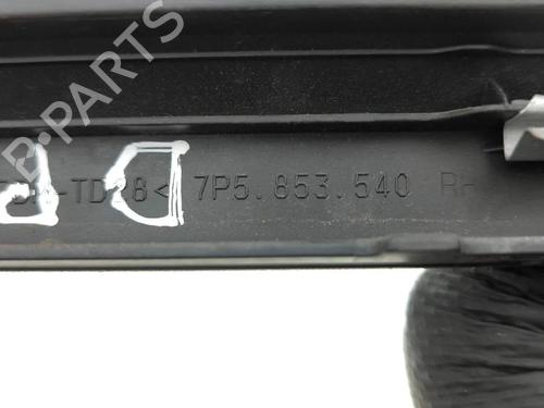 Step PORSCHE CAYENNE (92A) 3.0 Diesel | BP36180568C149 - Image 12