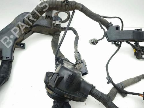 Wiring harness KIA SPORTAGE V (NQ5) 1.6 T-GDI | BP29042862E16