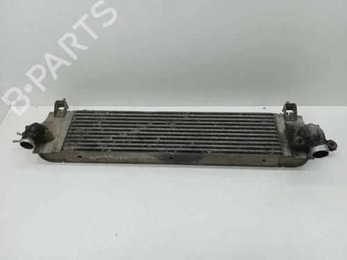 Used Intercooler Intercooler 36202108 36202108
