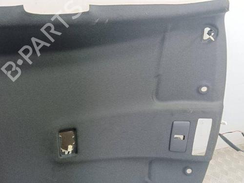 Interior roof NISSAN JUKE (F16_) 1.0 | BP28854272I12 