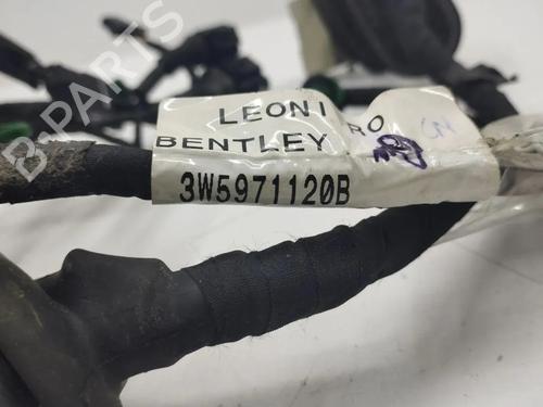 Wiring harness BENTLEY FLYING SPUR (4W_) 6.0 W12 | BP36381749E16 - Image 6
