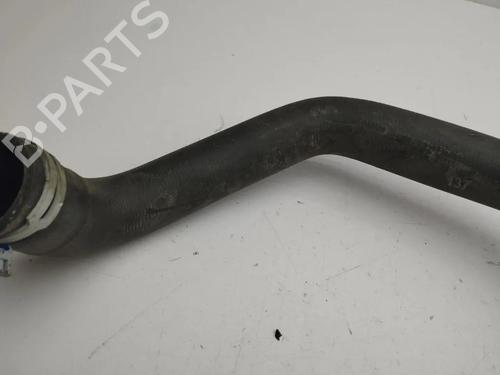 Pipe NISSAN JUKE (F16_) 1.6 Hybrid | BP36104412M125 - Image 4