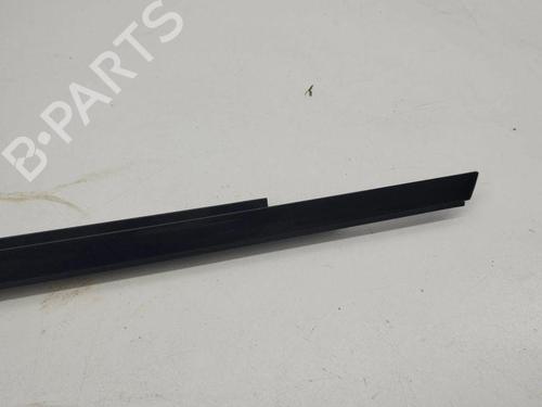 Door moulding trim BMW X5 (E53) 4.4 i | BP28904879C150 