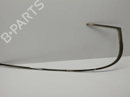 Door moulding trim BENTLEY CONTINENTAL FLYING SPUR (3W_) 6.0 | BP28898575C150 