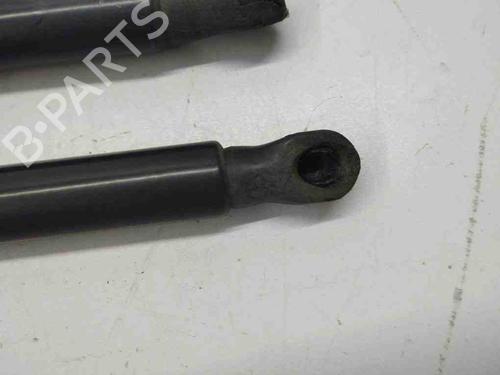 Tailgate lift support VW GOLF VIII (CD1, DA1) 1.0 TSI | BP28898316C138