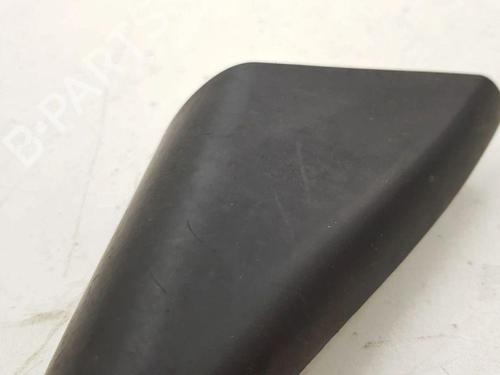 Door moulding trim MASERATI QUATTROPORTE V 4.2 | BP28903812C150 