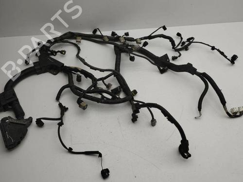 Used Wiring harness MAZDA CX-7 (ER) 2.2 MZR-CD AWD (ER10A) (163 hp) 28896179