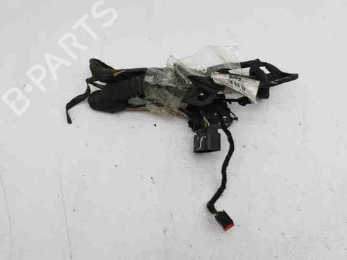 Used Wiring harness FORD C-MAX (DM2) 2.0 TDCi (133 hp) 28843111