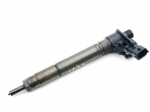 Injector LAND ROVER RANGE ROVER EVOQUE (L538) 2.2 D 4x4 | BP30643696M100