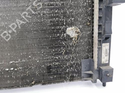 Water radiator CITROËN C4 II (NC_) 1.6 HDi 110 | BP36197723M31 - Image 11