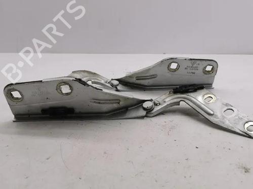 Hinge/Door check strap PORSCHE CAYENNE (9PA) 3.2 | BP28853157C146 