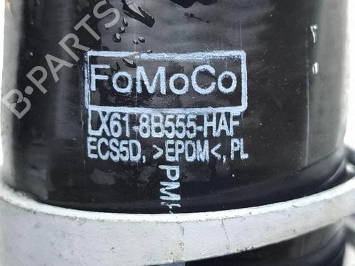 Pipe FORD KUGA III (DFK) 2.5 Duratec Plug-in-Hybrid | BP38251879M125 - Image 6