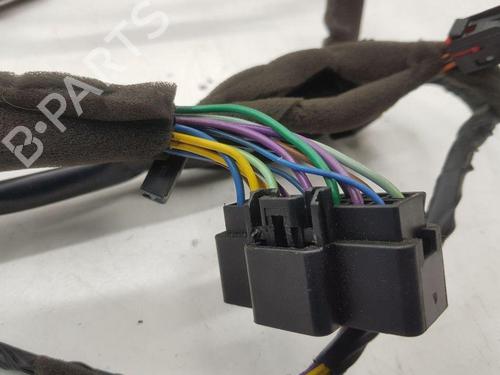 Wiring harness CHEVROLET CAPTIVA (C100, C140) 2.0 D 4WD | BP28886225E16 