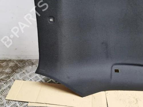 Interior roof NISSAN JUKE (F16_) 1.6 Hybrid | BP28864937I12 