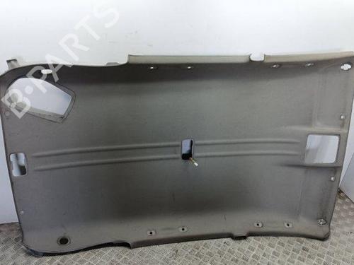 Tetto interno TOYOTA RAV 4 II (_A2_) 2.0 D 4WD (CLA20_, CLA21_, CLA20R, CLA21R) (116 hp) 28851276