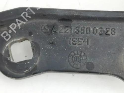 Hinge/Door check strap MERCEDES-BENZ S-CLASS (W221, V221) S 320 CDI (221.022, 221.122) | BP28853915C146 
