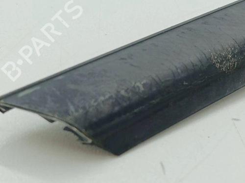 Door moulding trim INFINITI FX 35 All-wheel Drive | BP28896401C150 