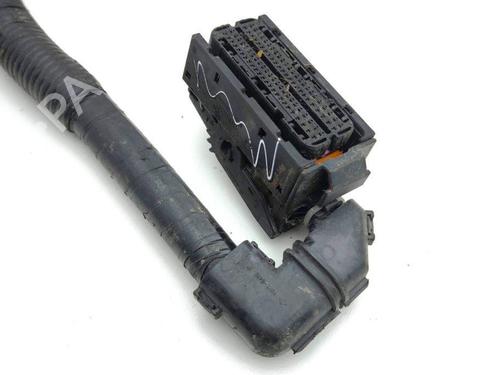 Wiring harness HONDA ACCORD VIII Estate (CW) 2.2 i-DTEC (CW3) | BP28874475E16 