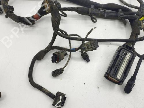 Wiring harness MERCEDES-BENZ A-CLASS (W169) A 170 (169.032, 169.332) | BP28895672E16 