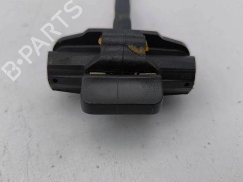 Hinge/Door check strap FORD GRAND C-MAX (DXA/CB7, DXA/CEU) 2.0 TDCi | BP28894391C146 