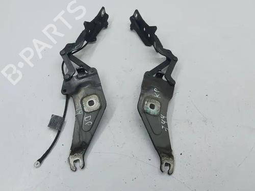 Used Hinge/Door check strap BMW X5 (E70) xDrive 30 d (235 hp) 28858449