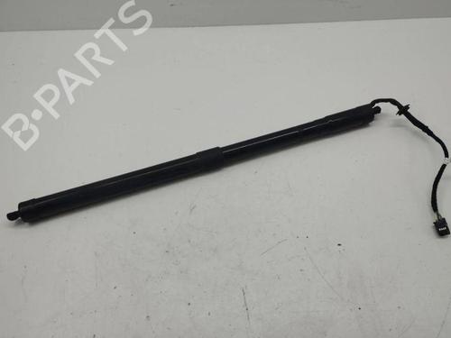 Used Tailgate lift support LAND ROVER RANGE ROVER EVOQUE (L538) 2.2 D 4x4 (190 hp) 28898701