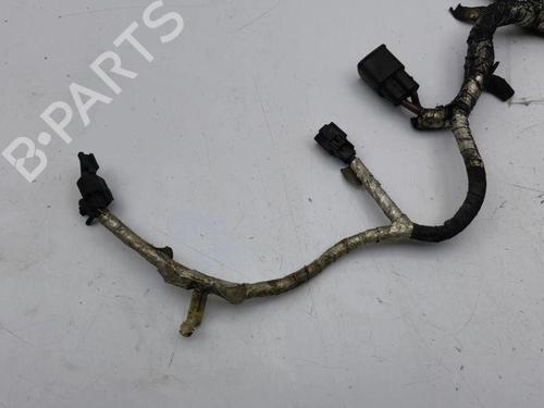 Wiring harness FORD GALAXY III (CK) 2.0 TDCi | BP28901291E16 