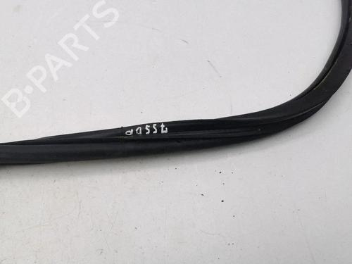 Gummiliste VW GOLF VIII (CD1, DA1) 1.5 TSI | BP38244365C142 - Image 6