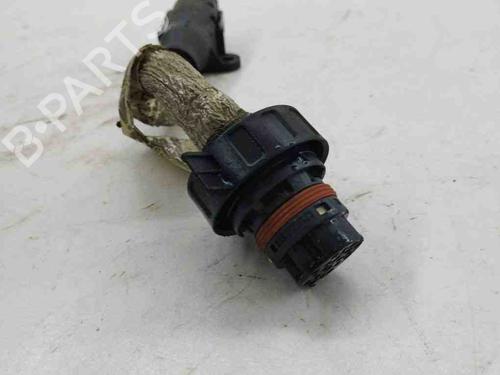 Wiring harness MASERATI QUATTROPORTE V 4.2 | BP28876808E16 