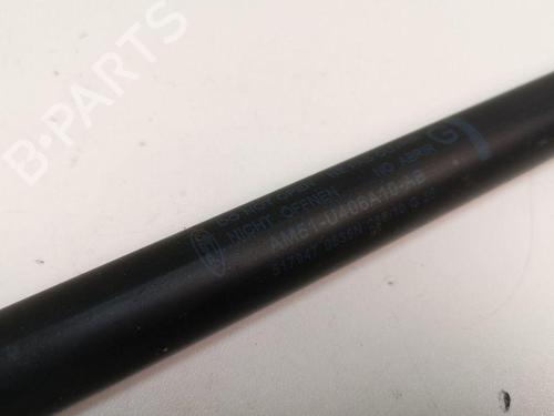 Tailgate lift support FORD GRAND C-MAX (DXA/CB7, DXA/CEU) 1.6 TDCi | BP28885159C138 