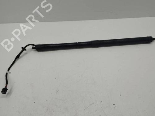 Tailgate lift support LAND ROVER RANGE ROVER EVOQUE (L538) 2.2 D 4x4 | BP28898705C138 