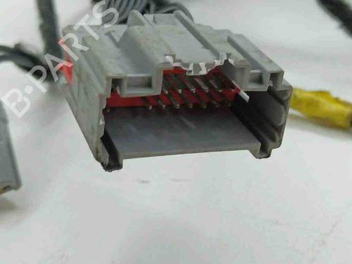 Wiring harness LAND ROVER RANGE ROVER EVOQUE (L538) 2.2 D 4x4 | BP28898655E16 