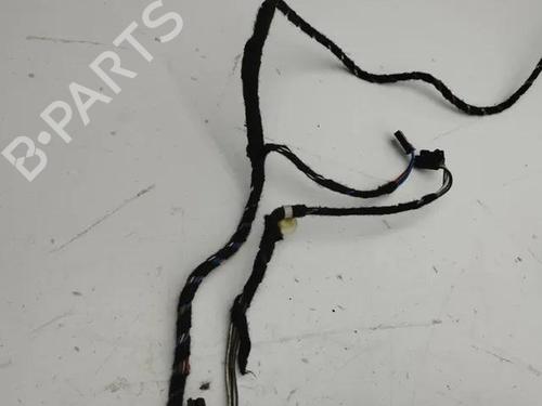 Ledningsnet BMW 7 (F01, F02, F03, F04) 730 d | BP28851799E16 