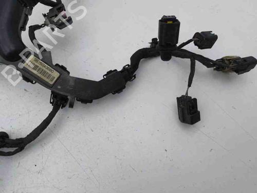 Wiring harness FORD GALAXY III (CK) 2.0 TDCi | BP28901292E16 