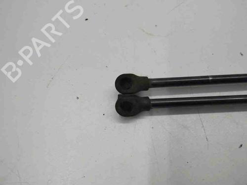 Tailgate lift support VW GOLF VIII (CD1, DA1) 1.0 TSI | BP28898316C138