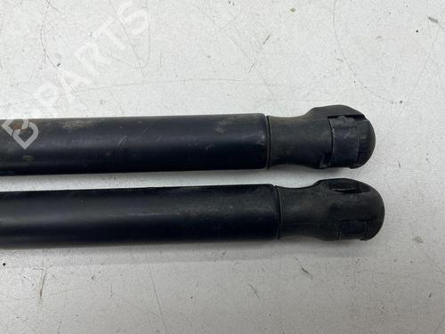 Tailgate lift support FORD KUGA I 2.0 TDCi 4x4 | BP28893381C138 