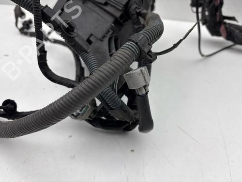 Wiring harness TOYOTA GT 86 Coupe (ZN6_) 2.0 (ZN6AC_, ZN6BC_, ZN6K) | BP32143841E16 