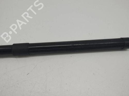 Tailgate lift support LAND ROVER RANGE ROVER EVOQUE (L538) 2.2 D 4x4 | BP28898705C138 