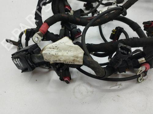 Wiring harness MASERATI QUATTROPORTE V 4.2 | BP28904436E16 