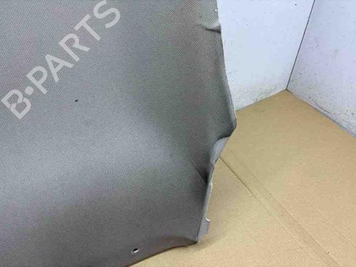 Interior roof NISSAN 350Z Coupe (Z33) 3.5 (AAZ33) | BP29337585I12 