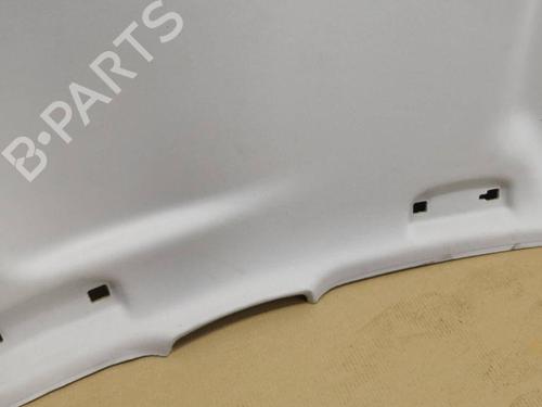 Interior roof JAGUAR XF I (X250) 2.7 D | BP28905288I12 